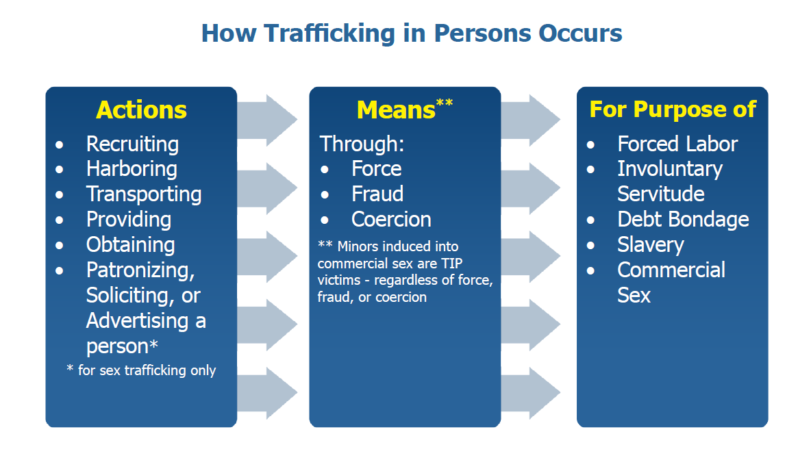 The AMP Model. Actions: Recruiting, Harboring, Transporting, Providing, Obtaining, Patronizing, Soliciting, or Advertising a person for sex trafficking only. Means: Through Force, Fraud, Coercion. Minors induced into commercial sex are TIP victim - regardless of force, fraud, or coercion. For Purpose of: Forced Labor, Involuntary Servitude, Debt Bondage, Slavery, and Commercial Sex.